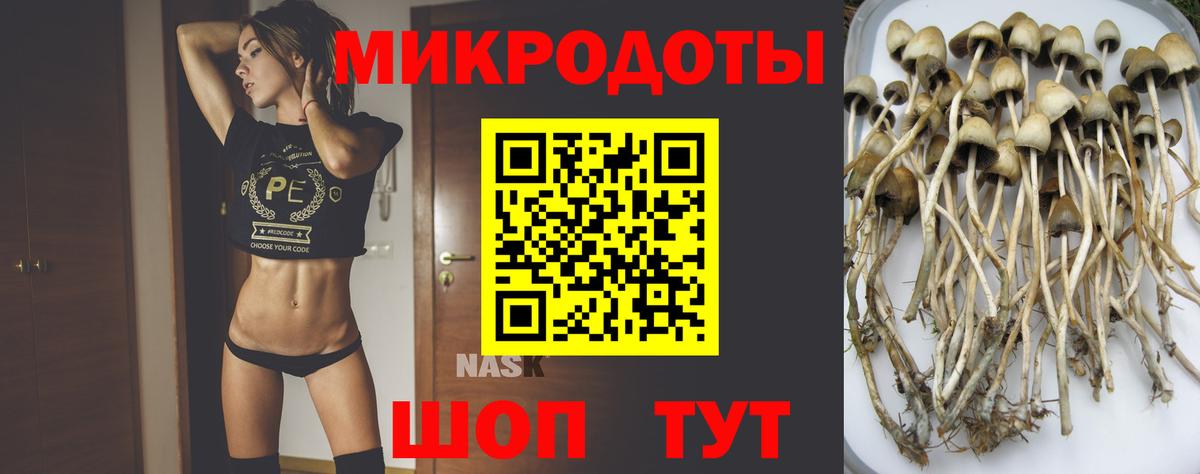 Псилоцибиновые грибы GOLDEN TEACHER  Вход с VPN  Кировск 